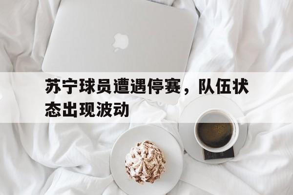 苏宁球员遭遇停赛，队伍状态出现波动的简单介绍